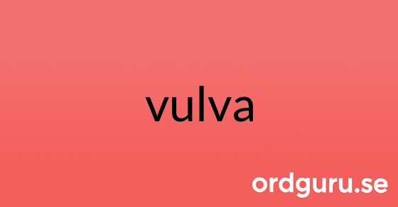 Bild med texten vulva