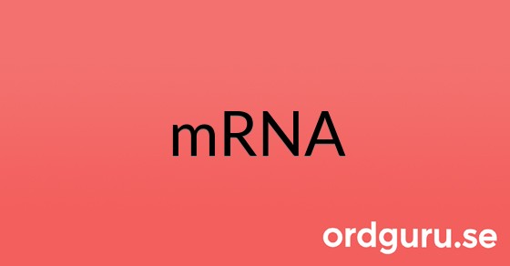 Bild med texten mRNA