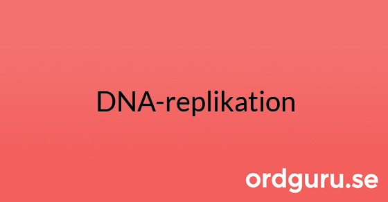 Bild med texten DNA-replikation